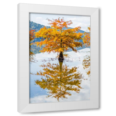 Orange Blast White Modern Wood Framed Art Print by Malone, Will