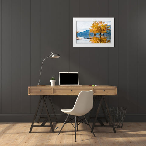 Orange Blast 2 White Modern Wood Framed Art Print by Malone, Will