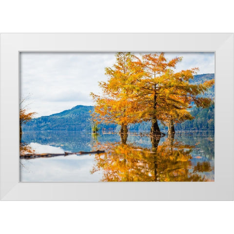 Orange Blast 2 White Modern Wood Framed Art Print by Malone, Will