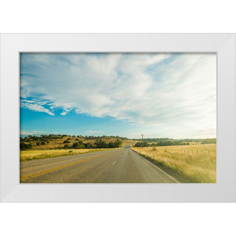 Hill Country  White Modern Wood Framed Art Print by Malone, Will