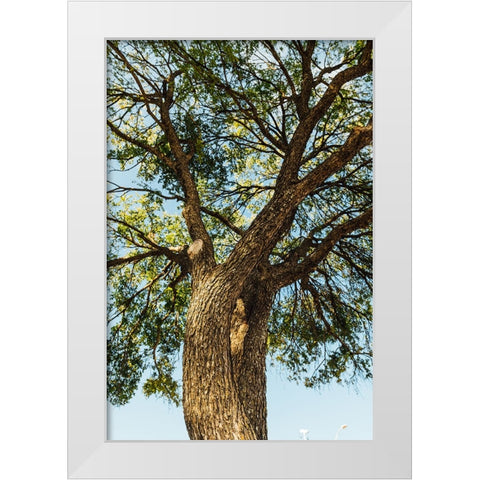 Hill Country 2 White Modern Wood Framed Art Print by Malone, Will