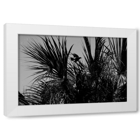 Bird of Palms White Modern Wood Framed Art Print by Malone, Will