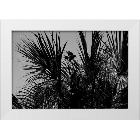 Bird of Palms White Modern Wood Framed Art Print by Malone, Will