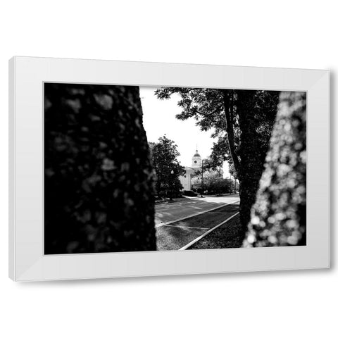 Through the Trees 2 White Modern Wood Framed Art Print by Malone, Will