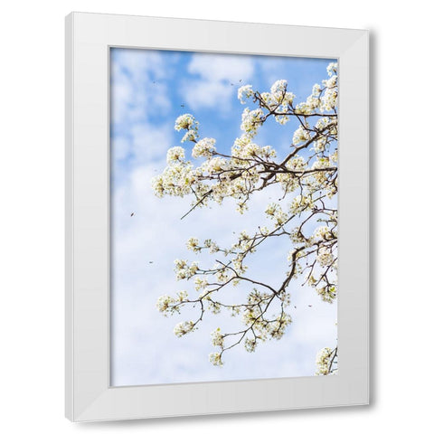 Welcome to Spring White Modern Wood Framed Art Print by Malone, Will