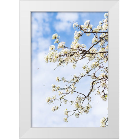 Welcome to Spring White Modern Wood Framed Art Print by Malone, Will