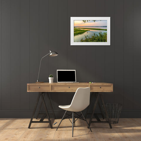 Morning Marsh White Modern Wood Framed Art Print by Malone, Will