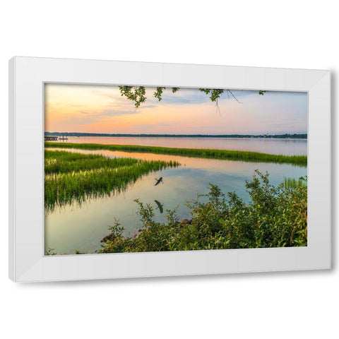 Morning Marsh White Modern Wood Framed Art Print by Malone, Will
