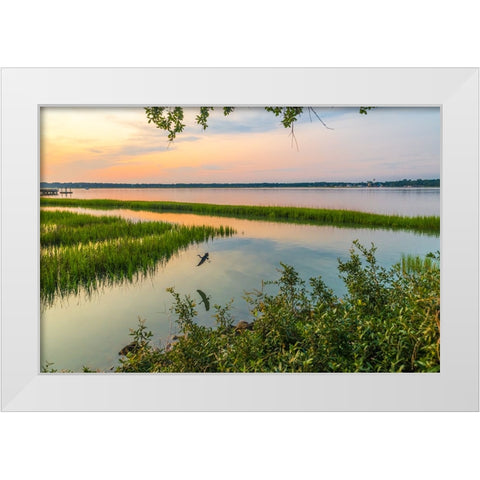 Morning Marsh White Modern Wood Framed Art Print by Malone, Will