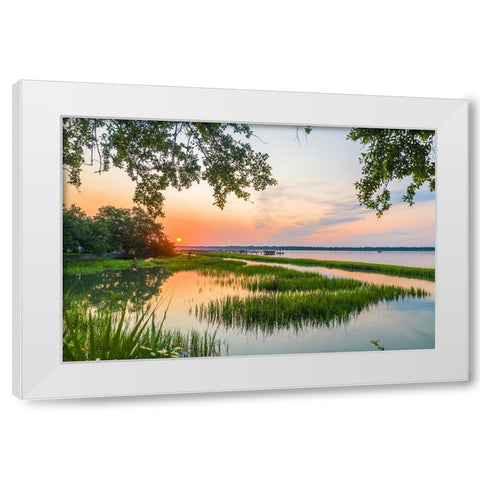 Morning Marsh 4 White Modern Wood Framed Art Print by Malone, Will