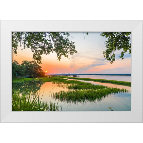 Morning Marsh 4 White Modern Wood Framed Art Print by Malone, Will