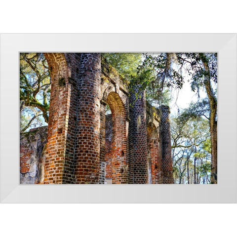 Old Sheldon 1 White Modern Wood Framed Art Print by Malone, Will