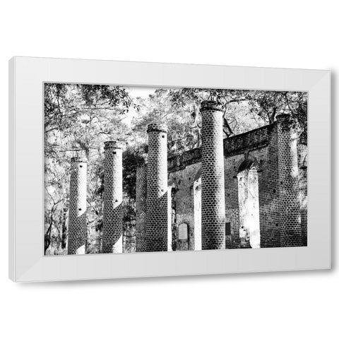 Old Sheldon 2 White Modern Wood Framed Art Print by Malone, Will