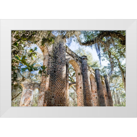 Old Sheldon 3 White Modern Wood Framed Art Print by Malone, Will