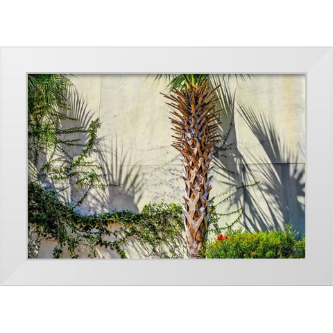 Shadows White Modern Wood Framed Art Print by Malone, Will
