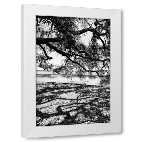 Shady Spot White Modern Wood Framed Art Print by Malone, Will