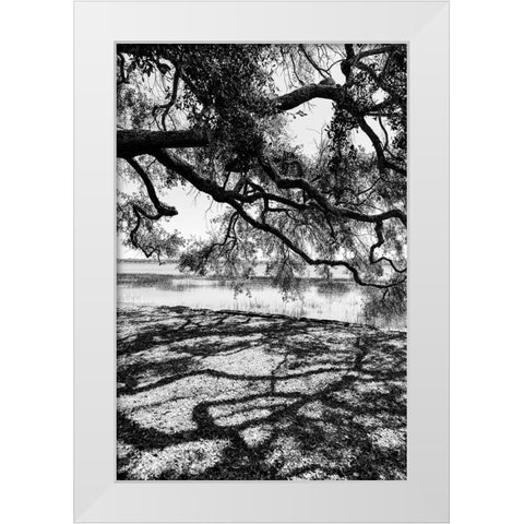 Shady Spot White Modern Wood Framed Art Print by Malone, Will