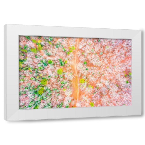 Dirt Road White Modern Wood Framed Art Print by Malone, Will