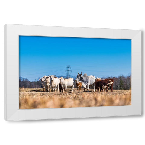 Drawing a Crowd 2 White Modern Wood Framed Art Print by Malone, Will