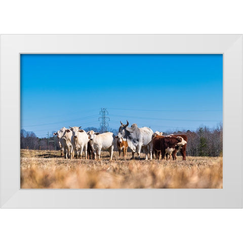 Drawing a Crowd 2 White Modern Wood Framed Art Print by Malone, Will