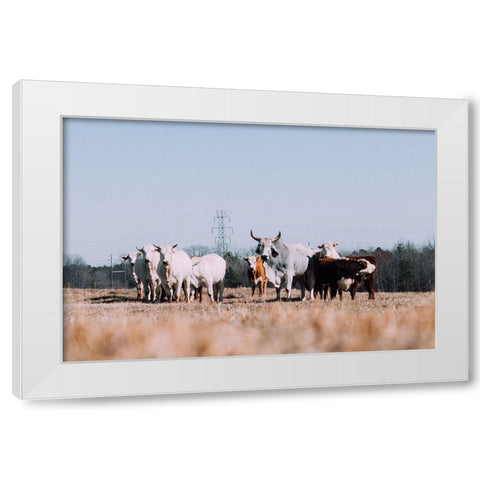 Drawing a Crowd Re-edit White Modern Wood Framed Art Print by Malone, Will