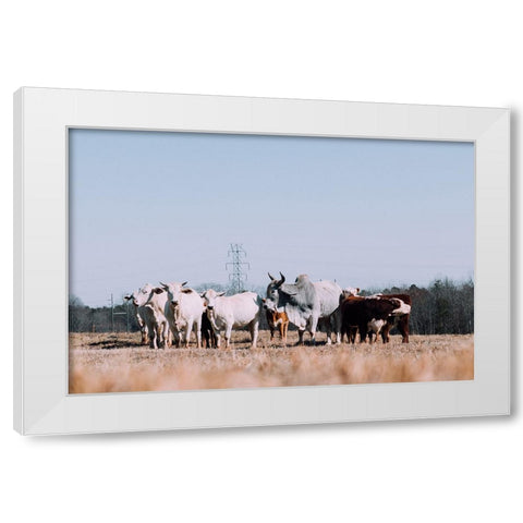 Drawing a Crowd 2 Re-edit White Modern Wood Framed Art Print by Malone, Will