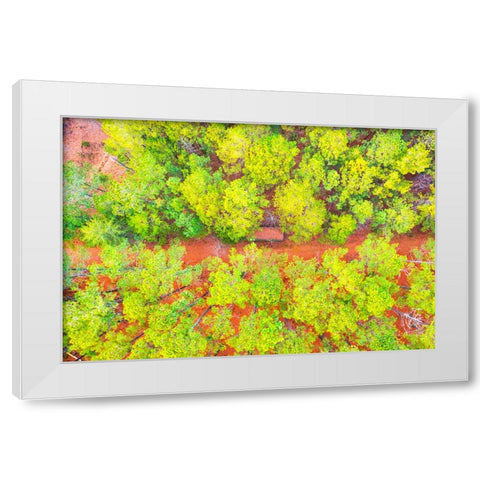 Hunting Shed White Modern Wood Framed Art Print by Malone, Will