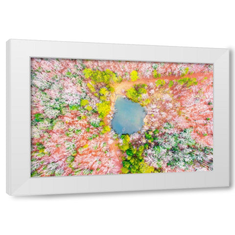 Pond in the Woods  White Modern Wood Framed Art Print by Malone, Will