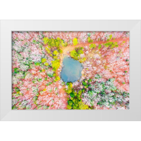 Pond in the Woods  White Modern Wood Framed Art Print by Malone, Will