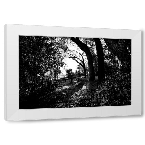 Bench White Modern Wood Framed Art Print by Malone, Will