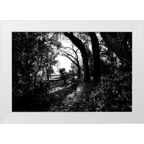 Bench White Modern Wood Framed Art Print by Malone, Will