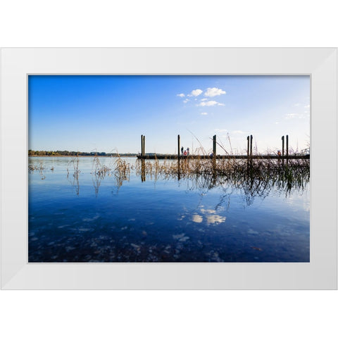 Overlook White Modern Wood Framed Art Print by Malone, Will