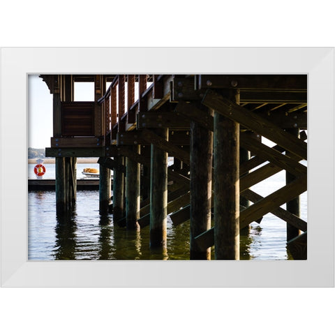 Salty Dog White Modern Wood Framed Art Print by Malone, Will