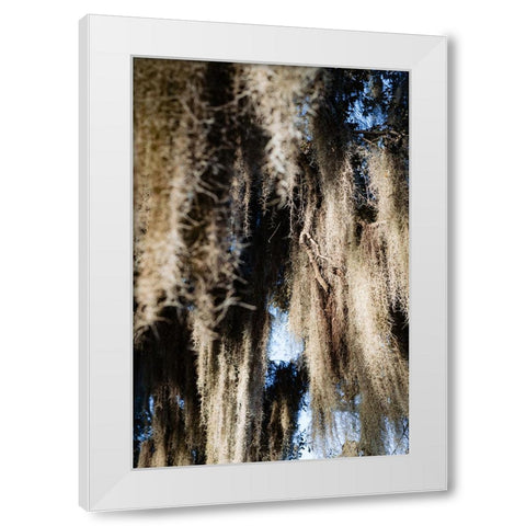 Spanish Moss 4 White Modern Wood Framed Art Print by Malone, Will