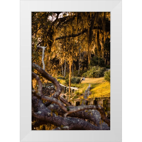 Sunset Spectator White Modern Wood Framed Art Print by Malone, Will