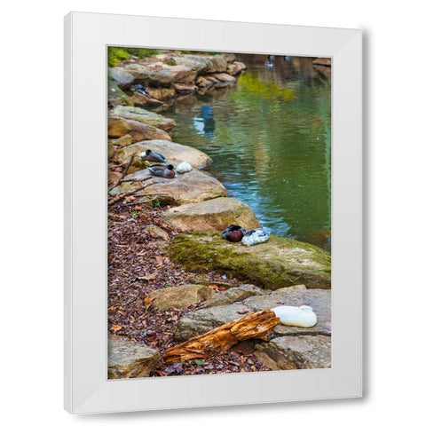 Asleep White Modern Wood Framed Art Print by Malone, Will