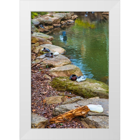 Asleep White Modern Wood Framed Art Print by Malone, Will