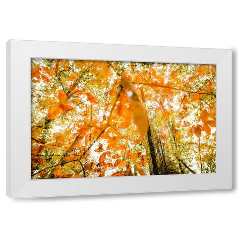 Fall Double White Modern Wood Framed Art Print by Malone, Will
