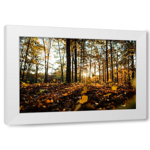 Fall Morning  White Modern Wood Framed Art Print by Malone, Will