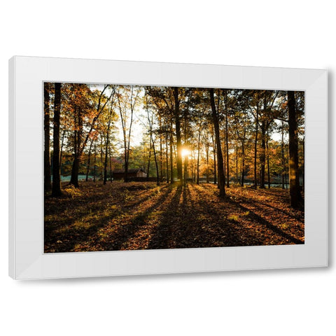 Fall Morning 2 White Modern Wood Framed Art Print by Malone, Will