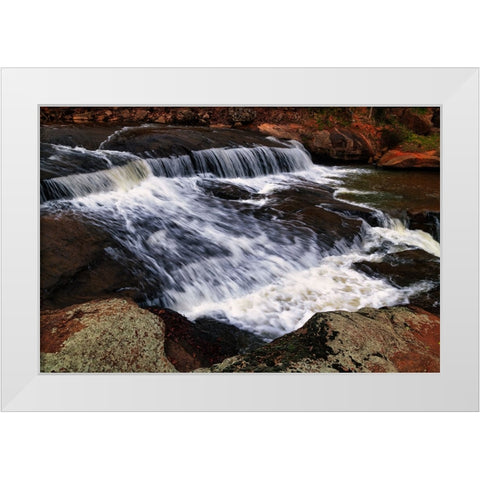 Falls Park Rush White Modern Wood Framed Art Print by Malone, Will