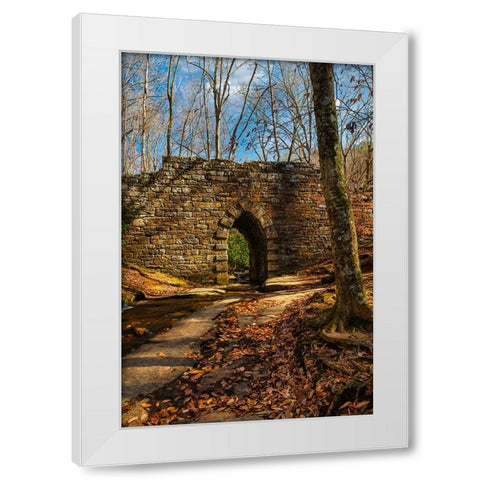Poinsett Bridge White Modern Wood Framed Art Print by Malone, Will