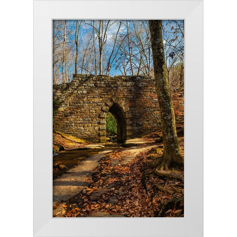 Poinsett Bridge White Modern Wood Framed Art Print by Malone, Will