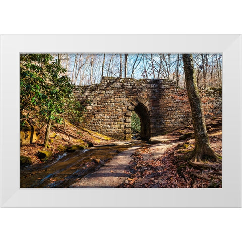 Poinsett Bridge 2 White Modern Wood Framed Art Print by Malone, Will
