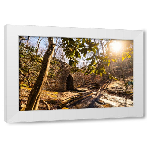 Poinsett Bridge 3 White Modern Wood Framed Art Print by Malone, Will