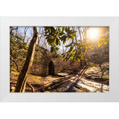 Poinsett Bridge 3 White Modern Wood Framed Art Print by Malone, Will