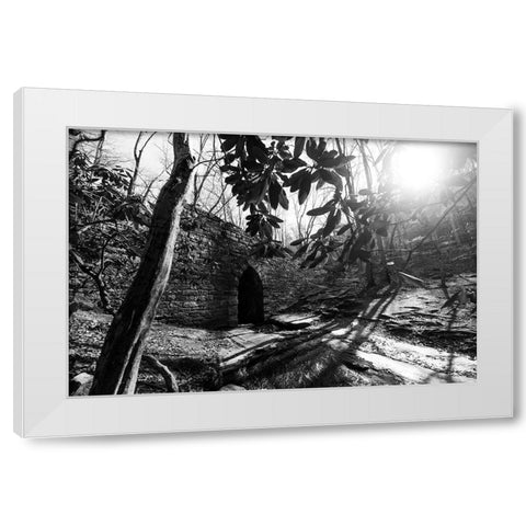 Poinsett Bridge 3 BW White Modern Wood Framed Art Print by Malone, Will