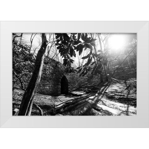 Poinsett Bridge 3 BW White Modern Wood Framed Art Print by Malone, Will
