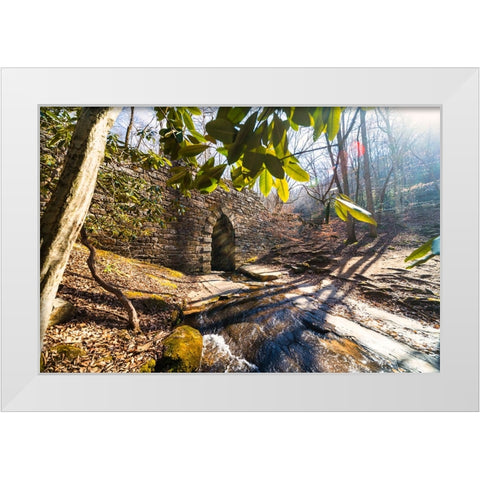 Poinsett Bridge 4 White Modern Wood Framed Art Print by Malone, Will