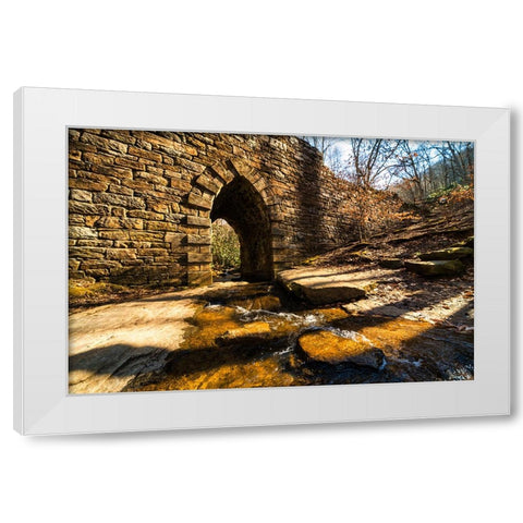 Poinsett Bridge 5 White Modern Wood Framed Art Print by Malone, Will